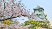 Head to Japan for cherry blossom season