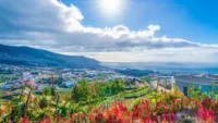 Madeira comes alive in spring
