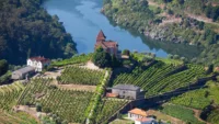 The Douro's vineyards start to leaf out in April