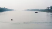 Ganges Dolphin