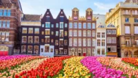 Amsterdam Spring