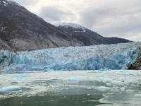 Dawes Glacier excursion (Discovery Princess)
