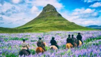 Iceland in July