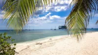 What to do in George Town, Grand Cayman, from your cruise ship
