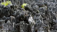 Black lava rock in Hell