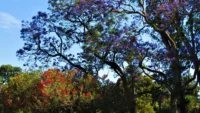 Parque Tres de Febrero