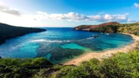 There's a wealth of natural beauty near Honolulu