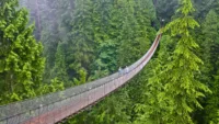 Capilano suspension bridge vancouver canada shutterstock 1