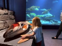 Fun for kids at the Atlantic Ocean Park (Alesund)