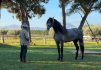 Spanish ranch excursion from Cartagena (Star Princess)