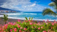 When is the best time to cruise the Canary Islands?