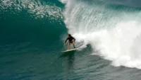 Big wave surfing on Maui