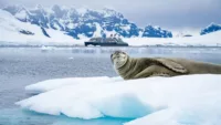 Why Seabourn’s pole-to-pole voyage should be on your radar