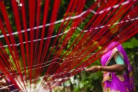 An artisan weaver dries silk threads | Credit Shutterstock