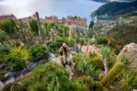 Reach destinations you wouldn't be able to on larger ships | Credit: Windstar Cruises