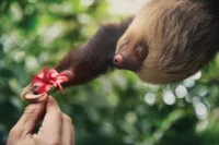 Excursions get you closer to the local fauna and flora | Credit: Princess Cruises