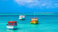 Aruba 1