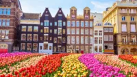 Mini cruises to Amsterdam are popular in spring