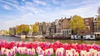 Amsterdam in tulip season Credit Fred Olsen