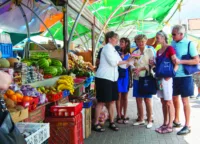 Guests can opt to receive shore excursion credit | Credit: Oceania Cruises