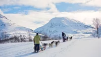 Hurtigruten Dog sledding excursion Credit Hurtigruten