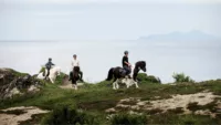 Excursions in Lofoten Havila Voyages