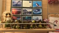 Havila Voyages shop