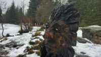 Troll Forest