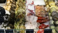 Bergen Fish Market