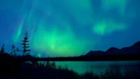 The late season is the best time to catch the northern lights
