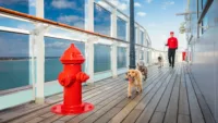 Queen Mary 2 Kennel Credit Cunard
