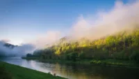 When is the best time to take an Elbe River cruise?