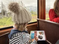 Sienna on the White Pass and Yukon Railway