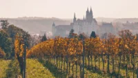 Castle and vineyards Credit Alexander Henke