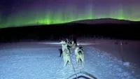 Husky excursion