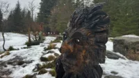 Troll Forest 1