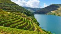 Eight ways a Douro River cruise might surprise you