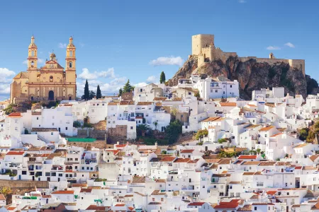Colours & Cultures of Morocco