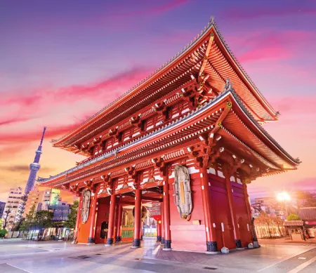Japan Cherry Blossom with Shanghai