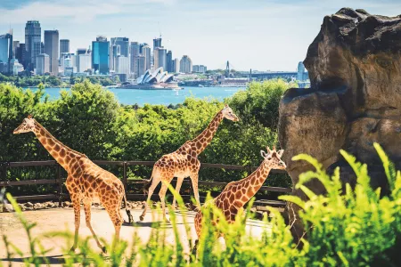 Luxury South Pacific Cruise with Sydney & Seattle