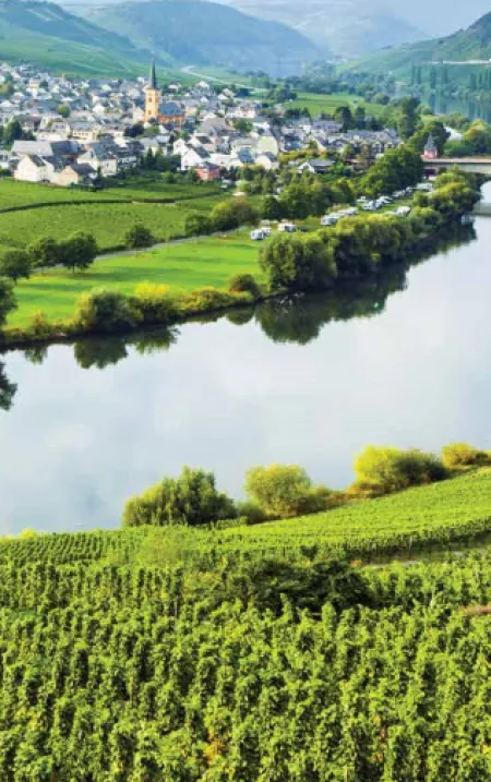 Cruise the Heart of Europe