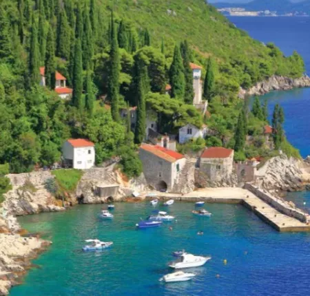 Adriatic Delights
