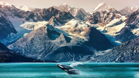 Voyage of the Glaciers Grand Adventure