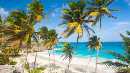 Atlantic Horizons and Caribbean Discovery