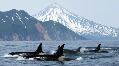 Alaska's Inside Passage: Where the Mountains Meet the Sea
