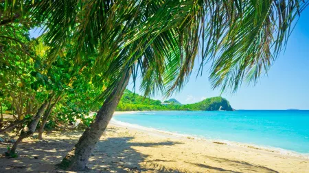 Colours of the Caribbean
