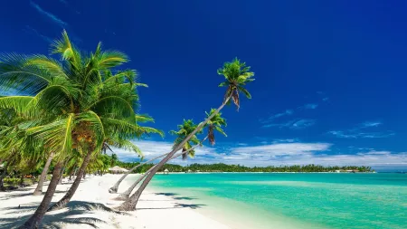 Rainforest, Reef & South Pacific Islands