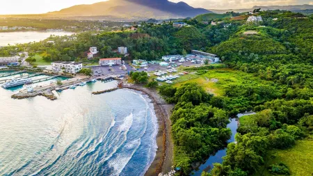 Golden Caribbean Strands