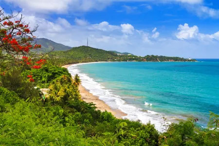 Captivating Island Rhythms