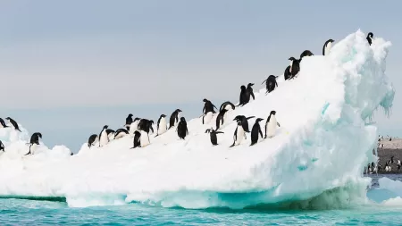 Antarctica's Ross Sea, Mt. Cook & Christchurch - Cruise & Land Journey